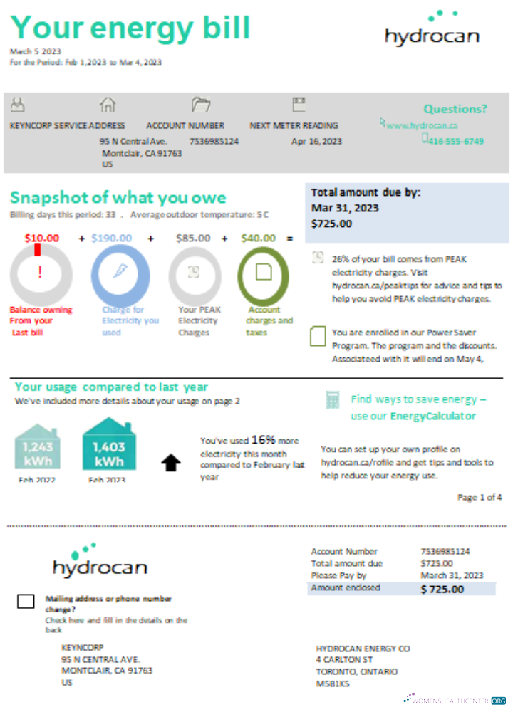 Download Ontario Hydrocan electricity business bill, SCR Photoshop template